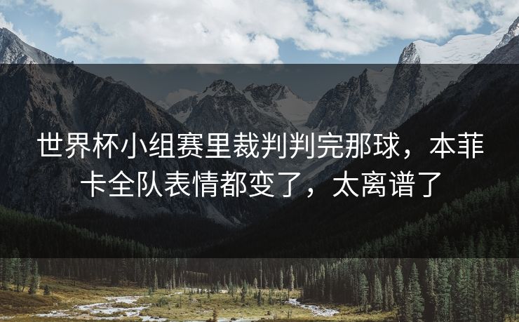 世界杯小组赛里裁判判完那球，本菲卡全队表情都变了，太离谱了
